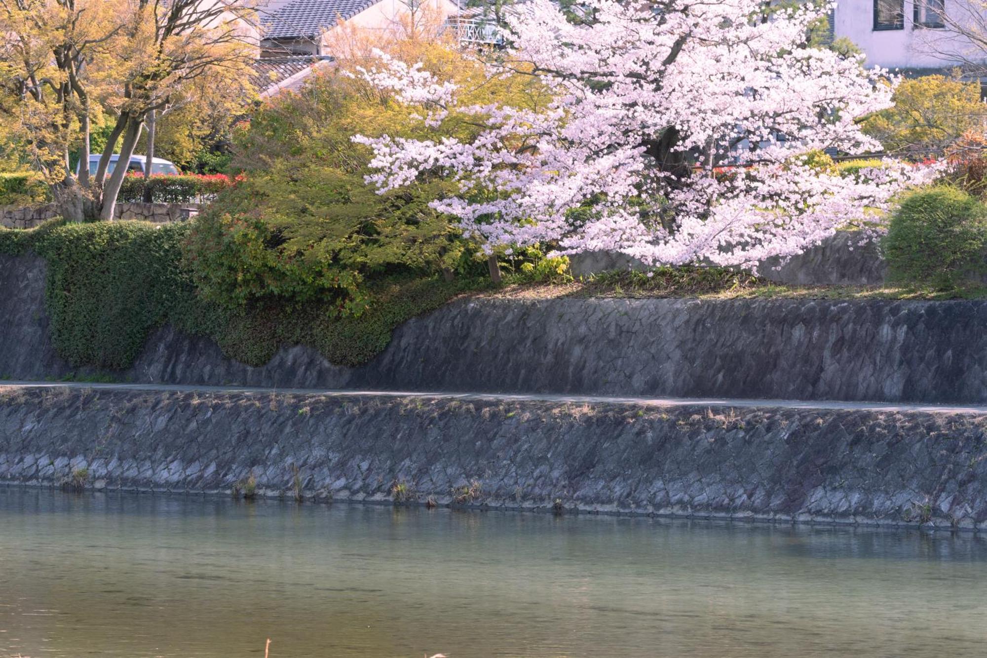 Omo5 Kyoto Sanjo By Hoshino Resorts Εξωτερικό φωτογραφία