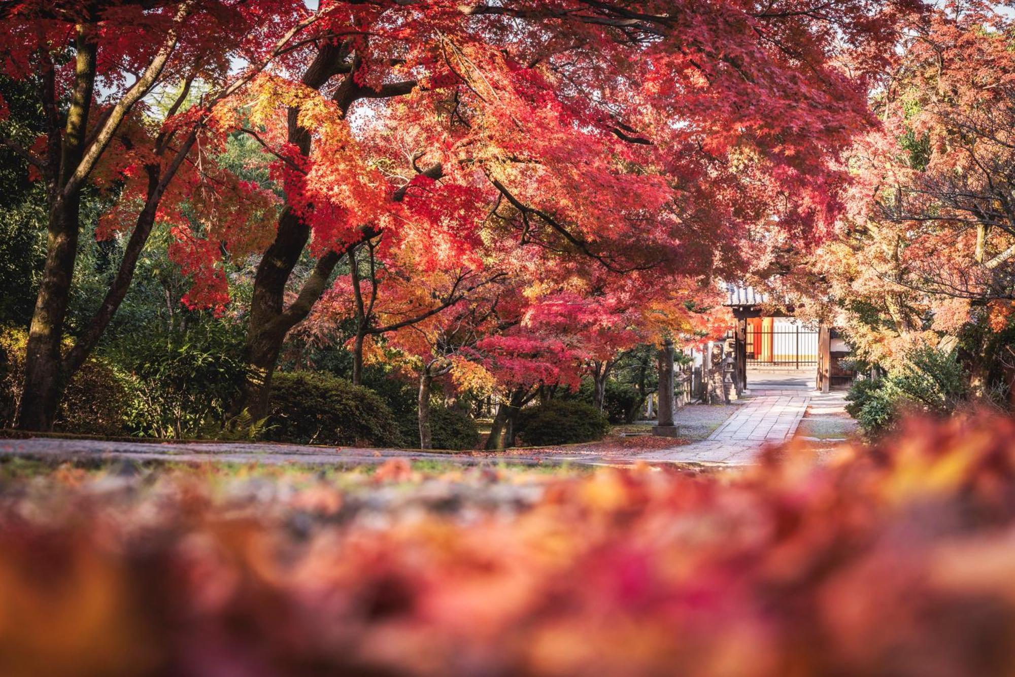 Omo5 Kyoto Sanjo By Hoshino Resorts Εξωτερικό φωτογραφία